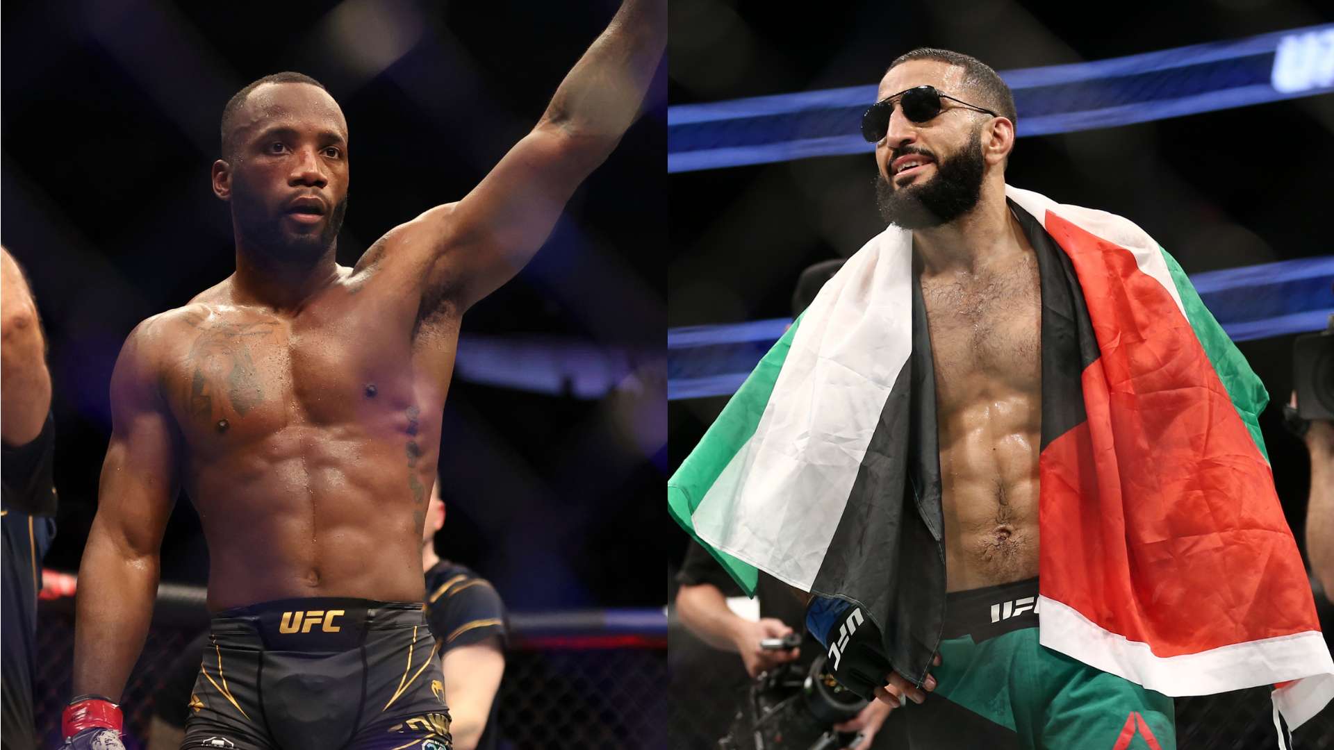 迷和评论员 迷和评论员